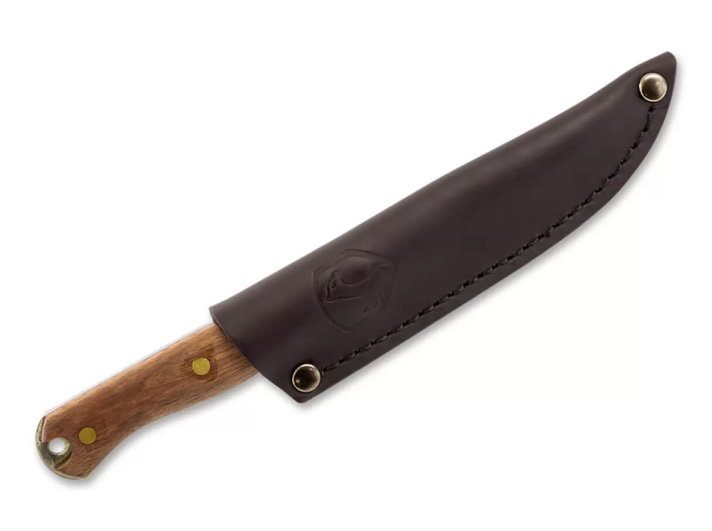 Best Scotia Knife Klassische Messer